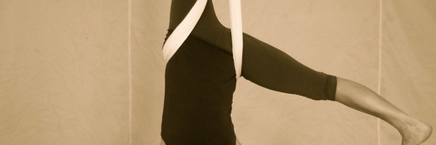 Aerial Classic & Flow Ausbildung / Aerial Yin Yoga Weiterbildung